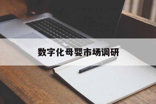 阳泉市数字化母婴市场调研(数字化母婴市场调研报告)